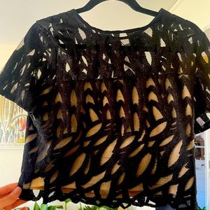 Beautiful Lace top